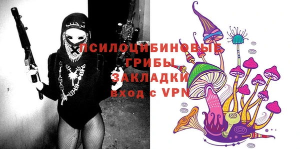 МДПВ Белокуриха