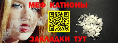 индика Камышлов