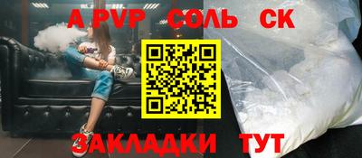 индика Камышлов