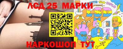 индика Камышлов