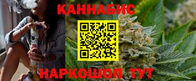индика Камышлов