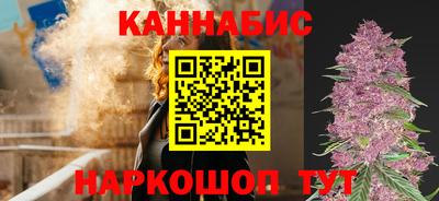 индика Камышлов