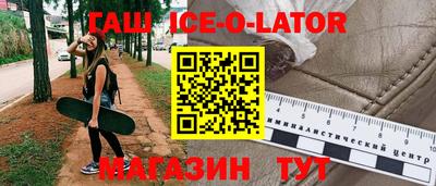индика Камышлов