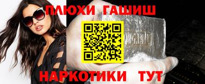 индика Камышлов