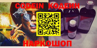 индика Камышлов