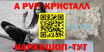 индика Камышлов