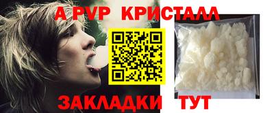 индика Камышлов