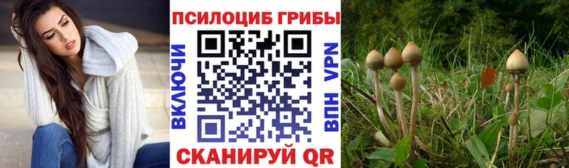 Галлюциногенные грибы мицелий  сколько стоит  Лыткарино 