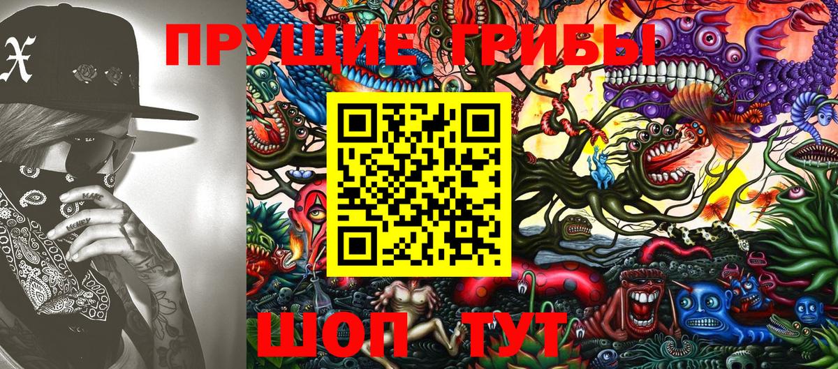 Лыткарино  наркота  Вход с VPN  Псилоцибиновые грибы мухоморы 